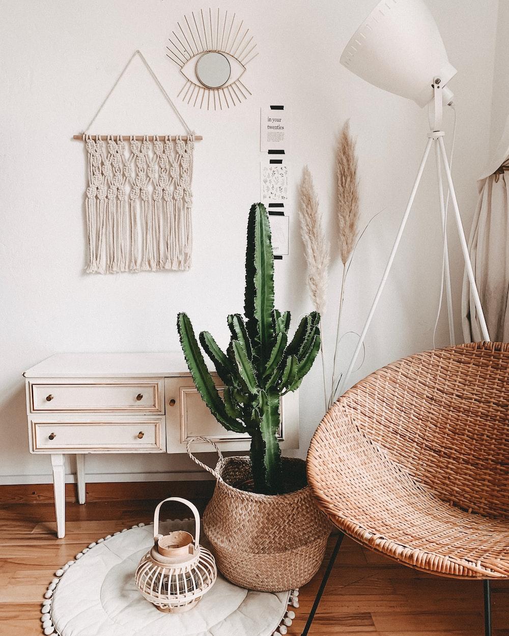 Décorer son salon style bohème avec des plantes – Comment faire