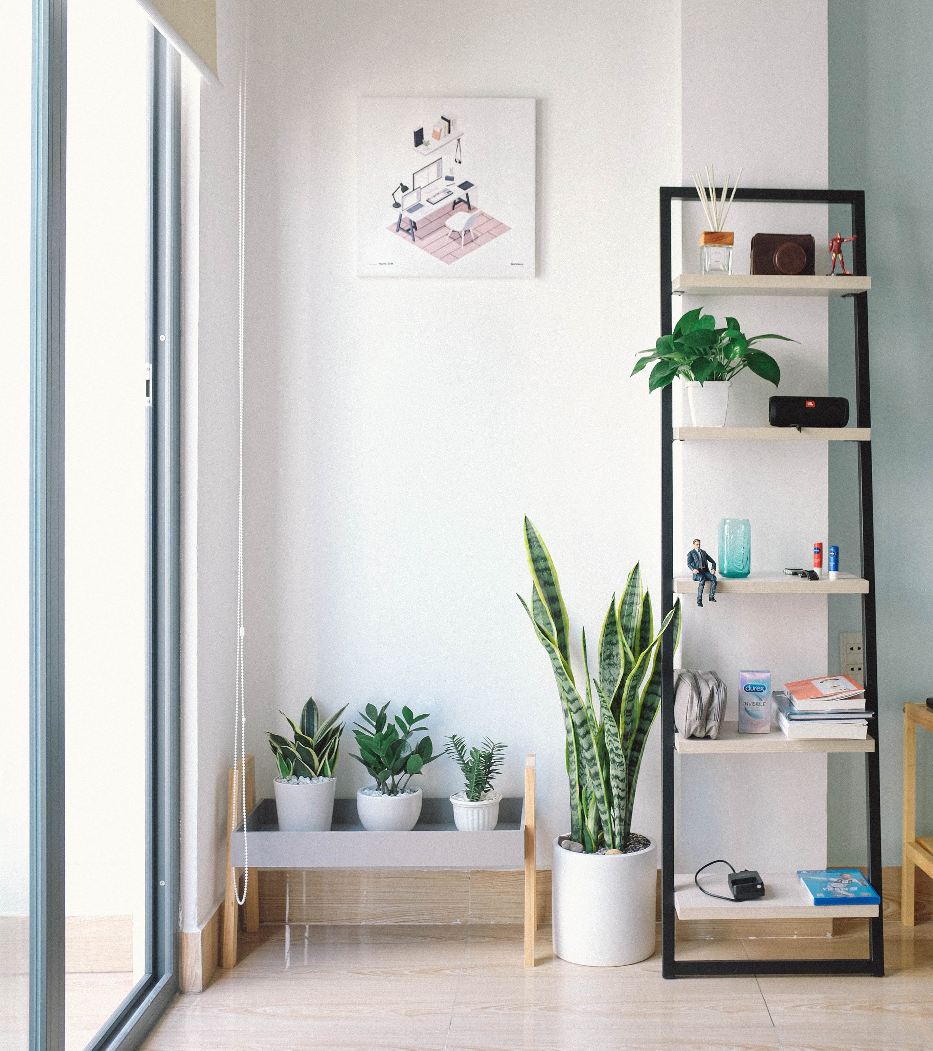 Comment faire une décoration scandinave avec des plantes - Le guide