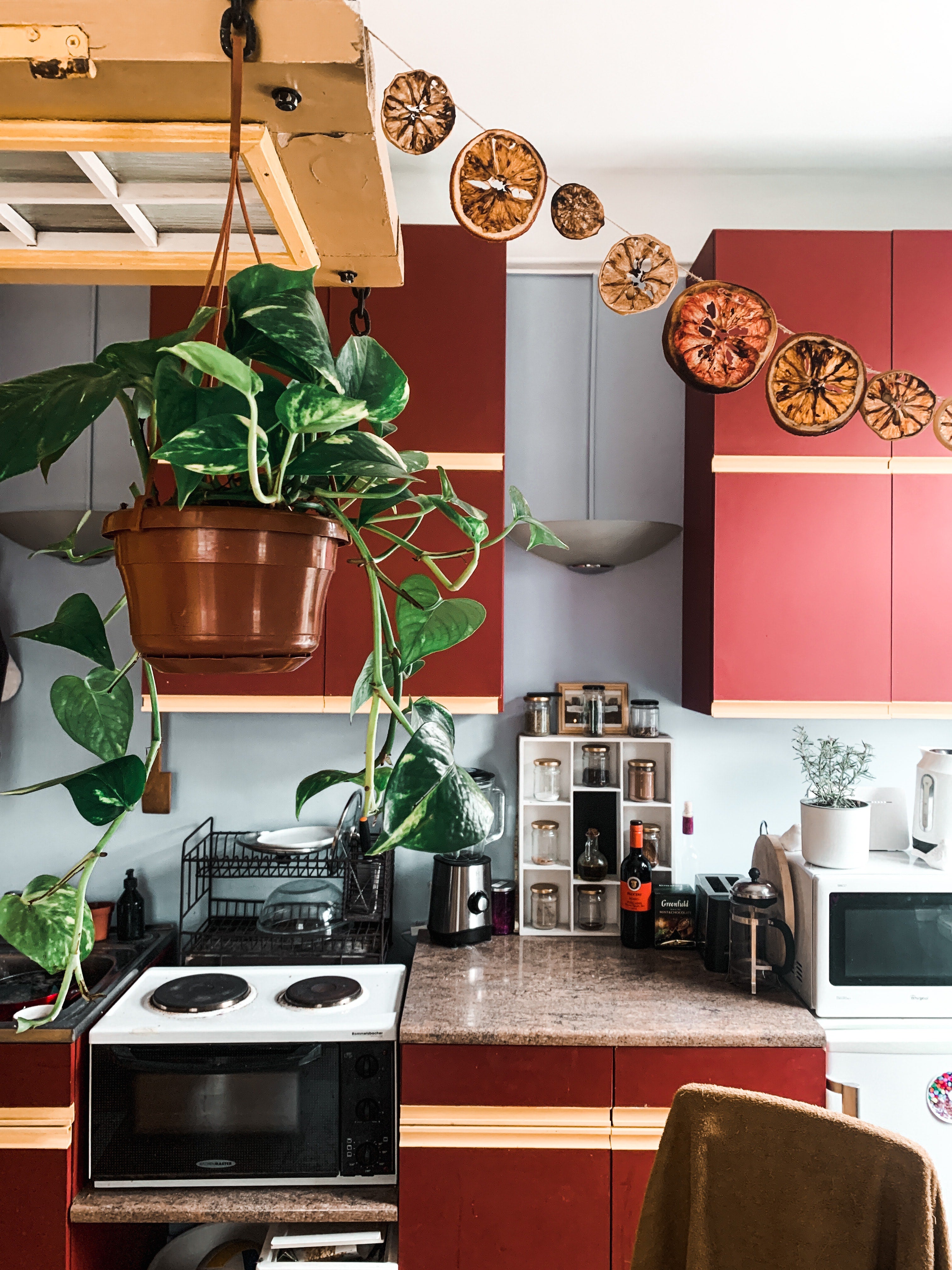 decorer sa cuisine avec des plantes ma deco plante