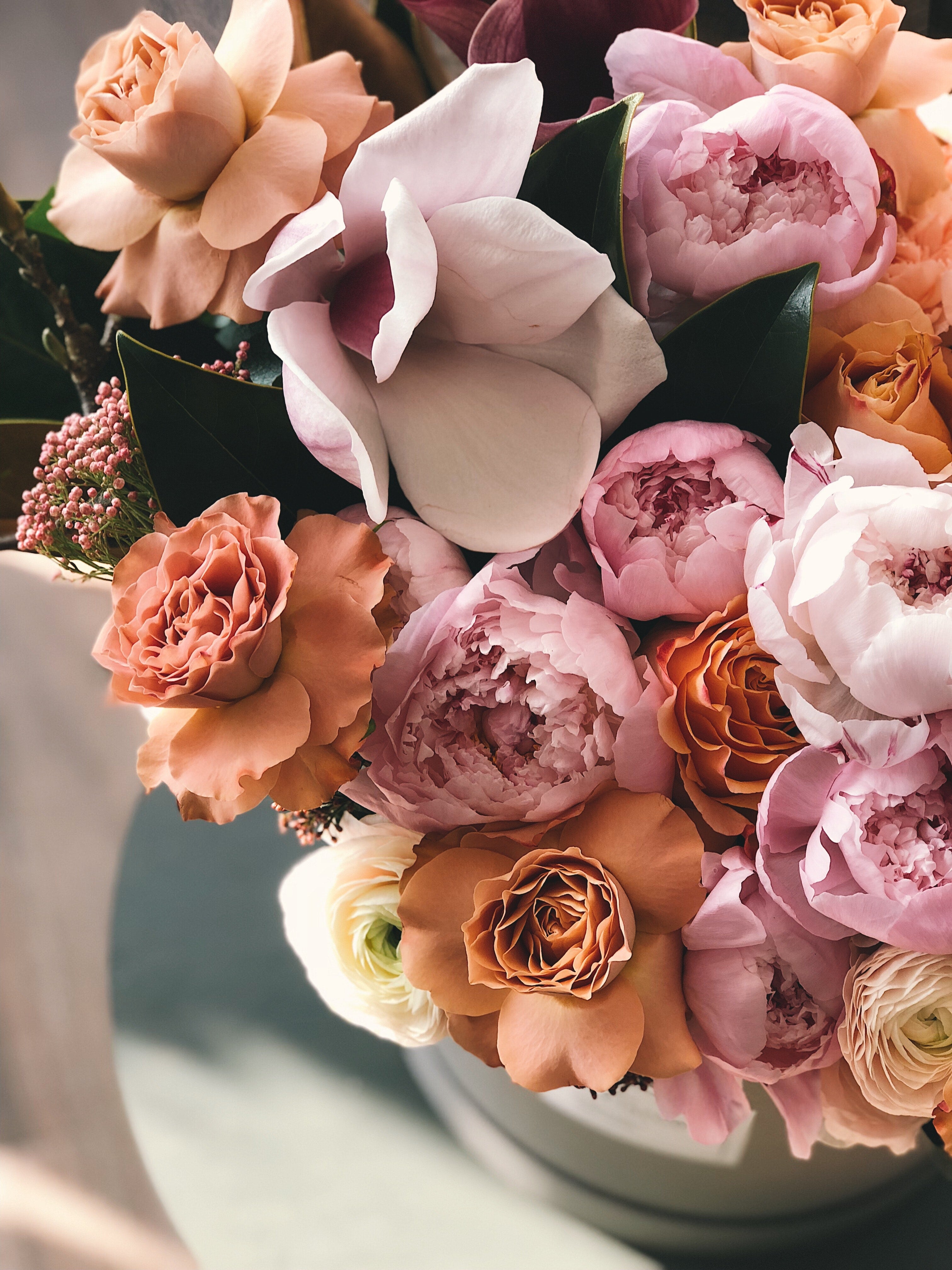 Décorer ses couloirs style bohème avec des plantes – Comment faire