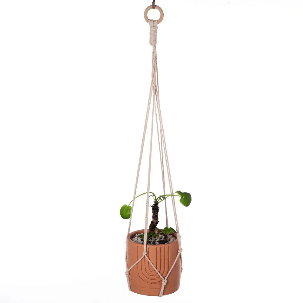 Suspension Plante - Coton - Macramé