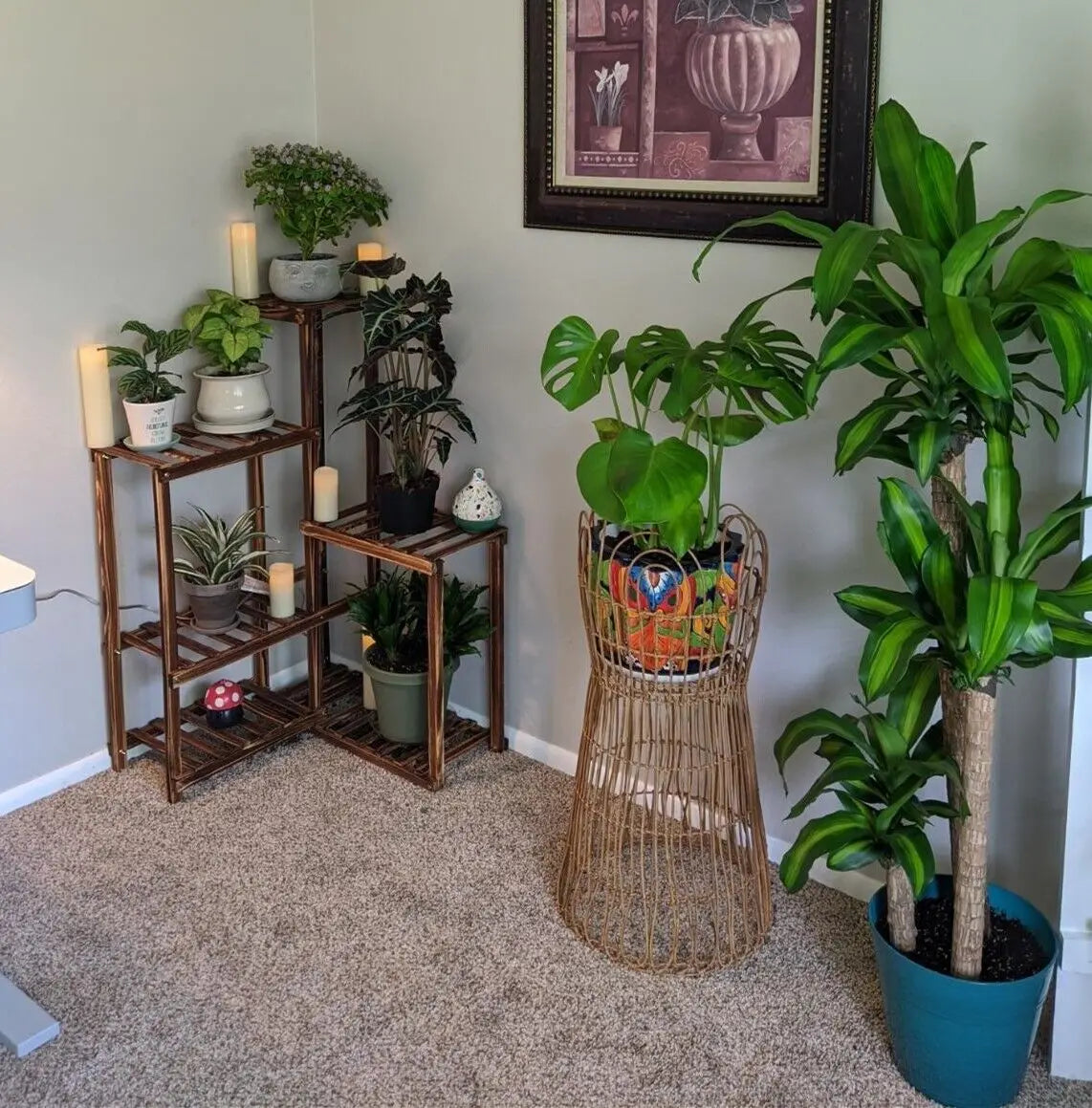 Porte-Plante - Bois 6 Niveaux - Design d'Angle - Spécial Patio