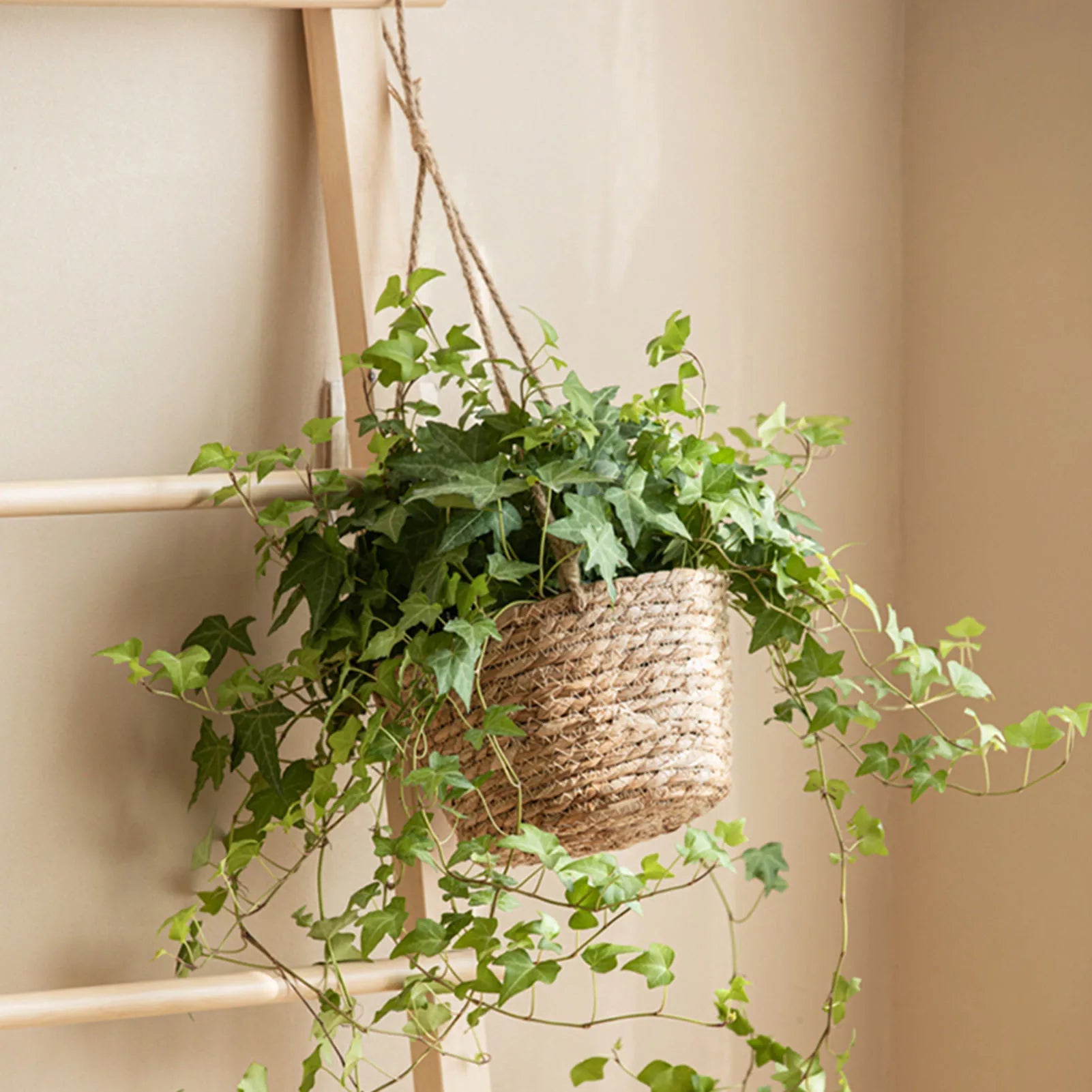 Suspension Plante - Jute - Macramé