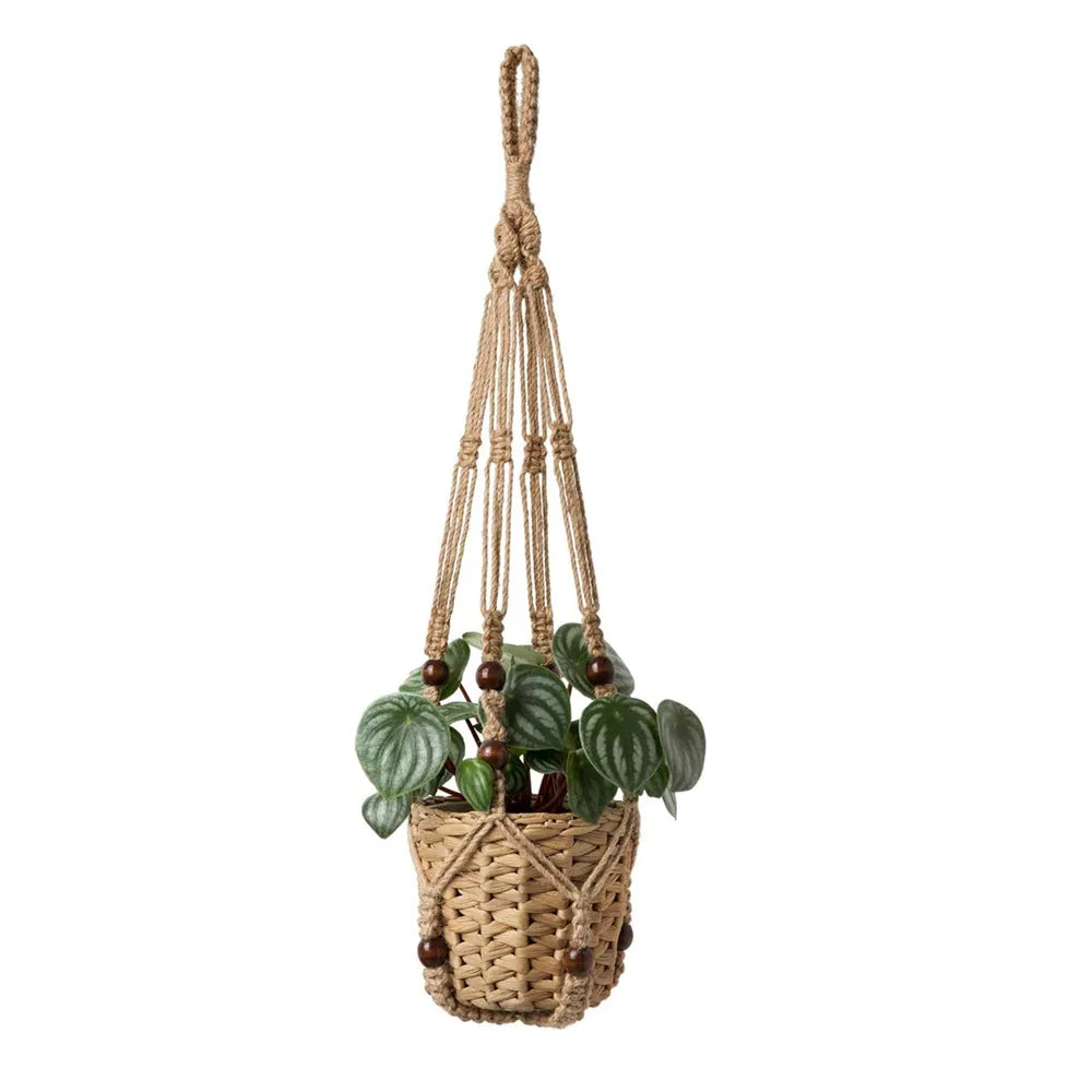 Suspension Plante - Coton - Macramé
