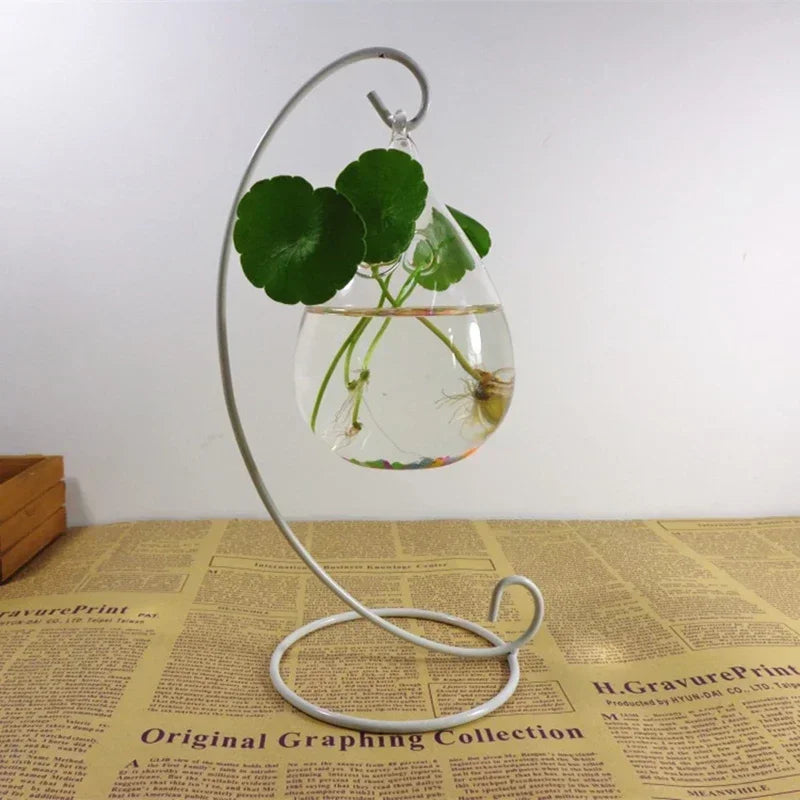 Support Plante - Fer - Pour Terrarium