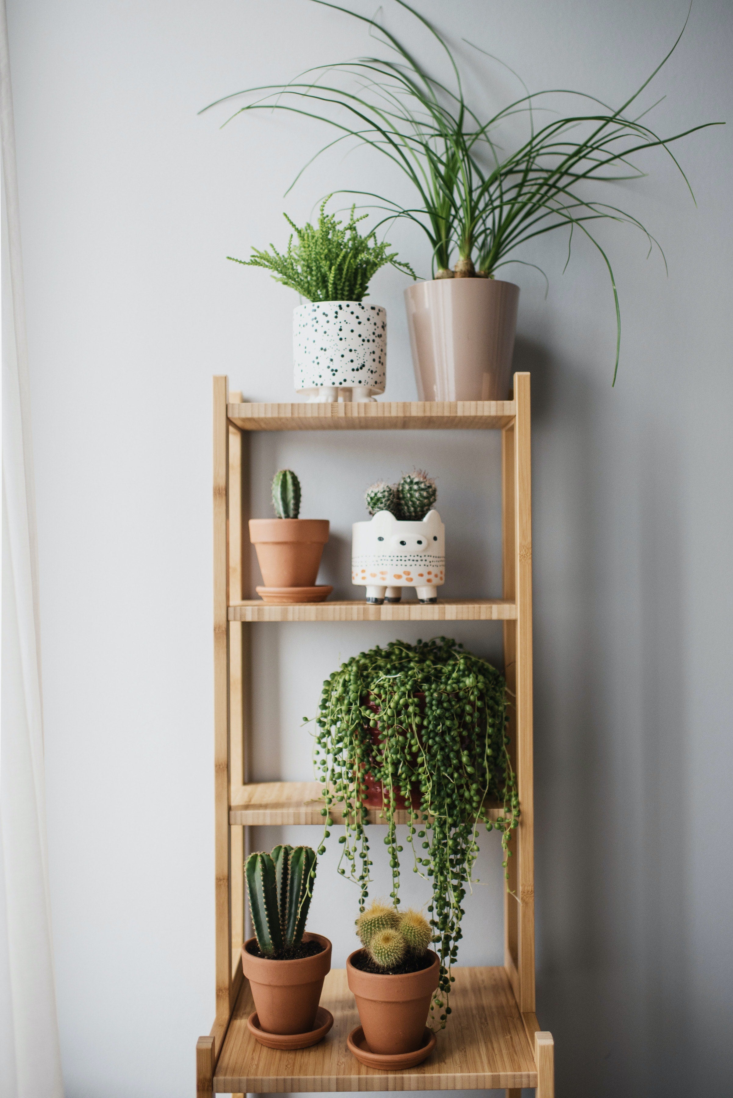 porte-plante original