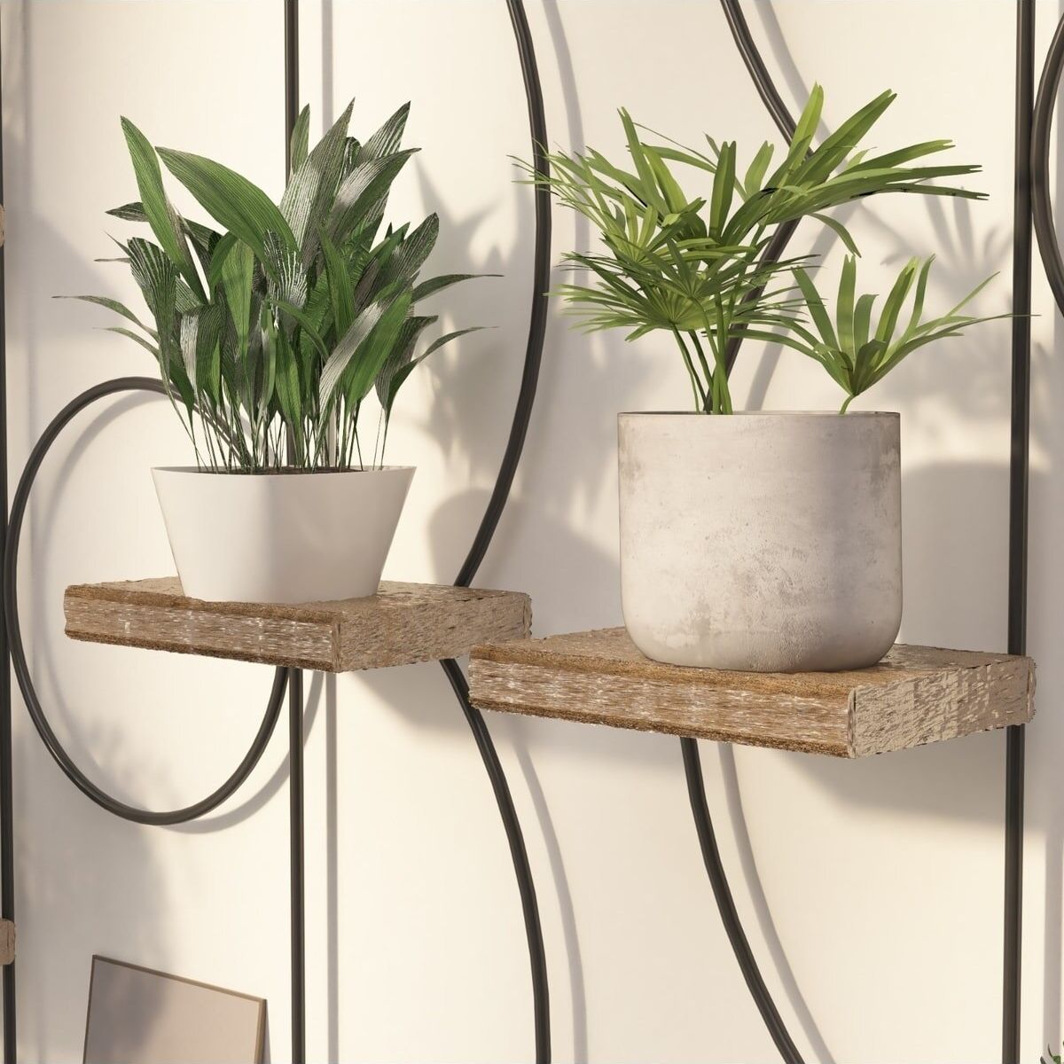 Porte-plante original mural - Shiny Circle (Lot de 2)