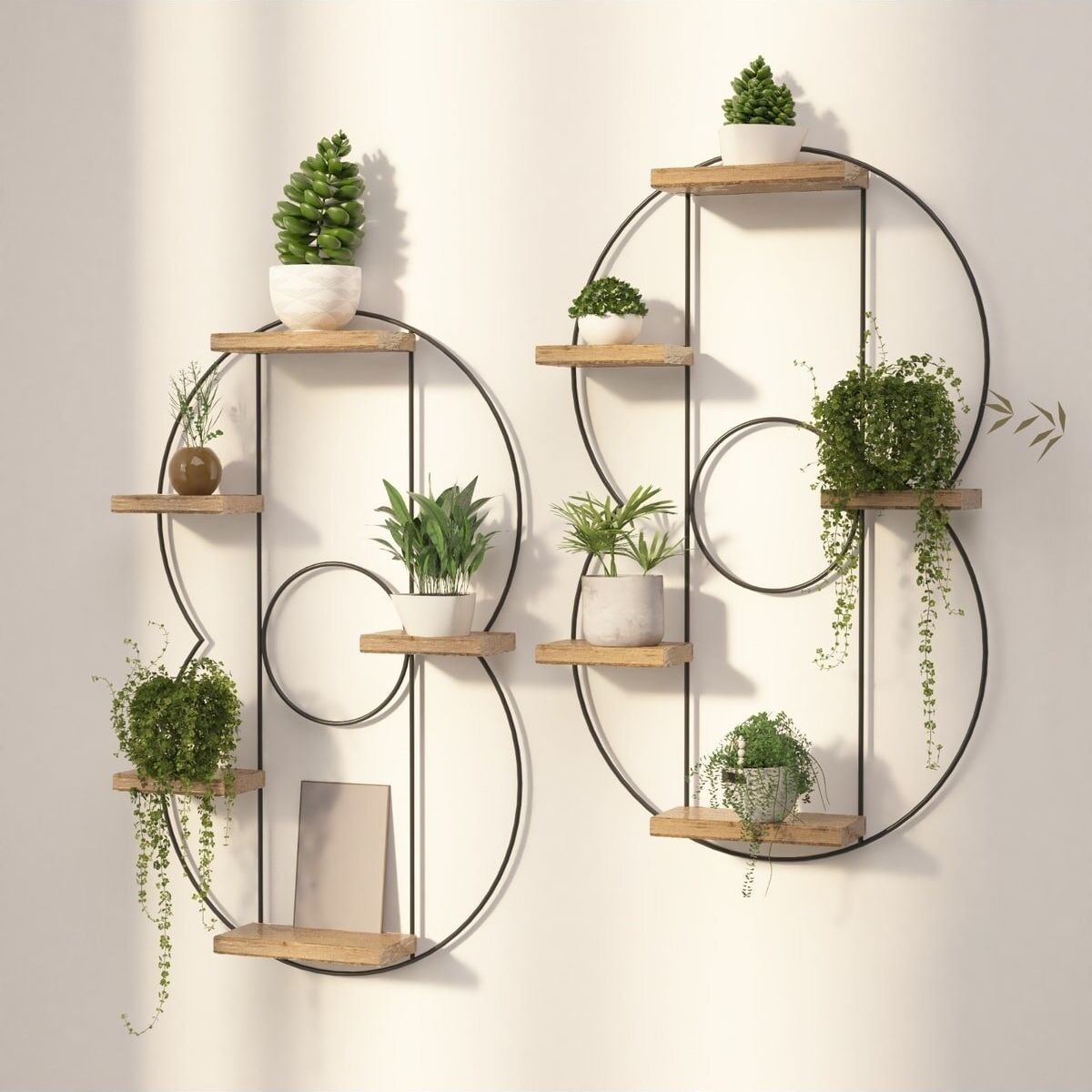 Porte-plante original mural - Shiny Circle (Lot de 2)
