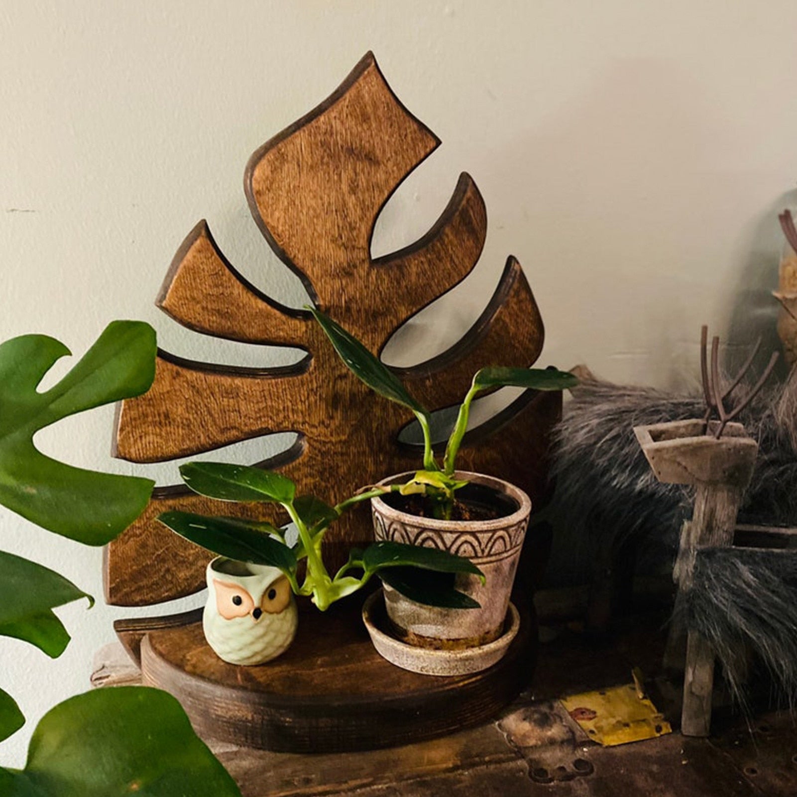 Porte-plante original mural - La Monstera