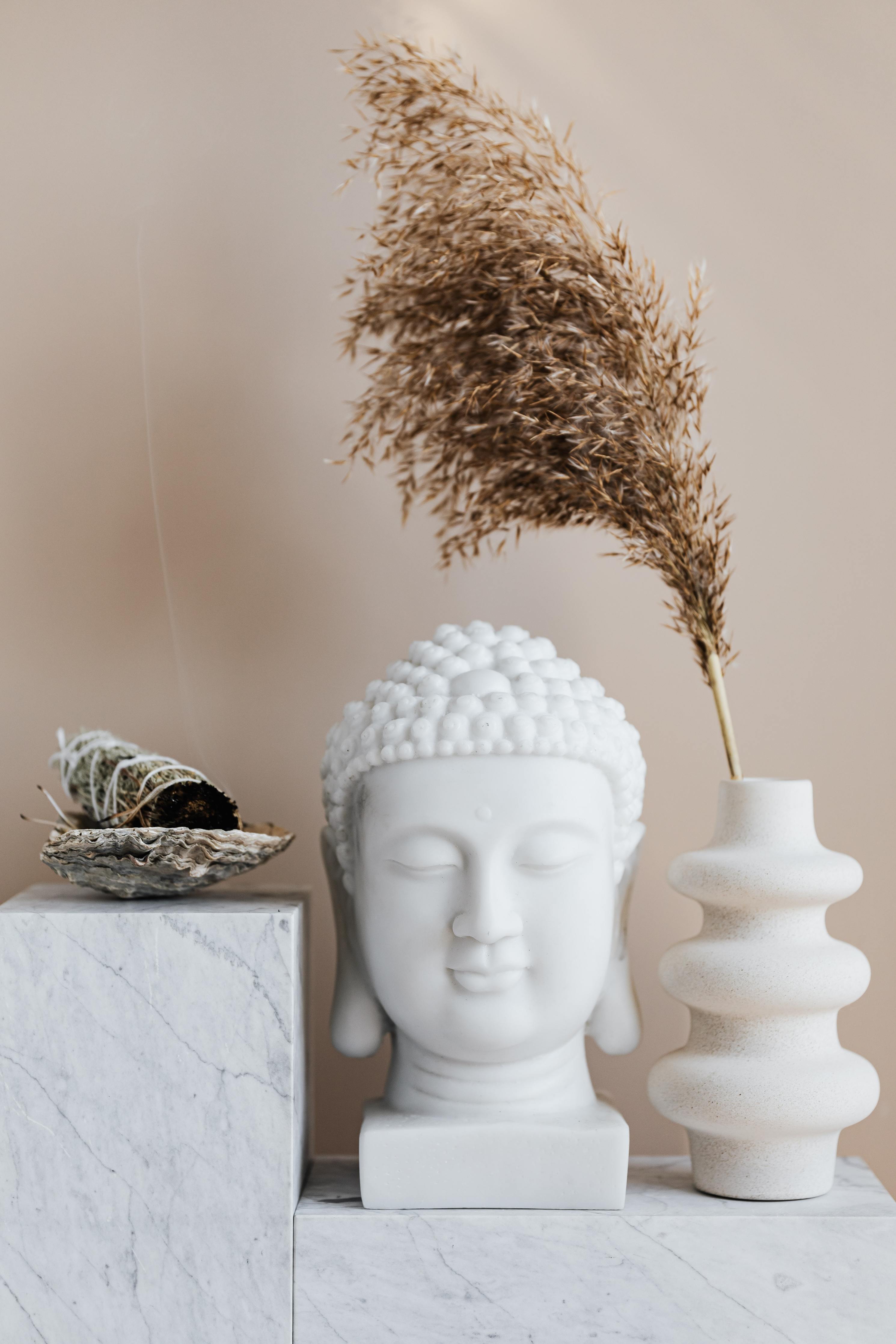 créer une décoration zen avec des plantes