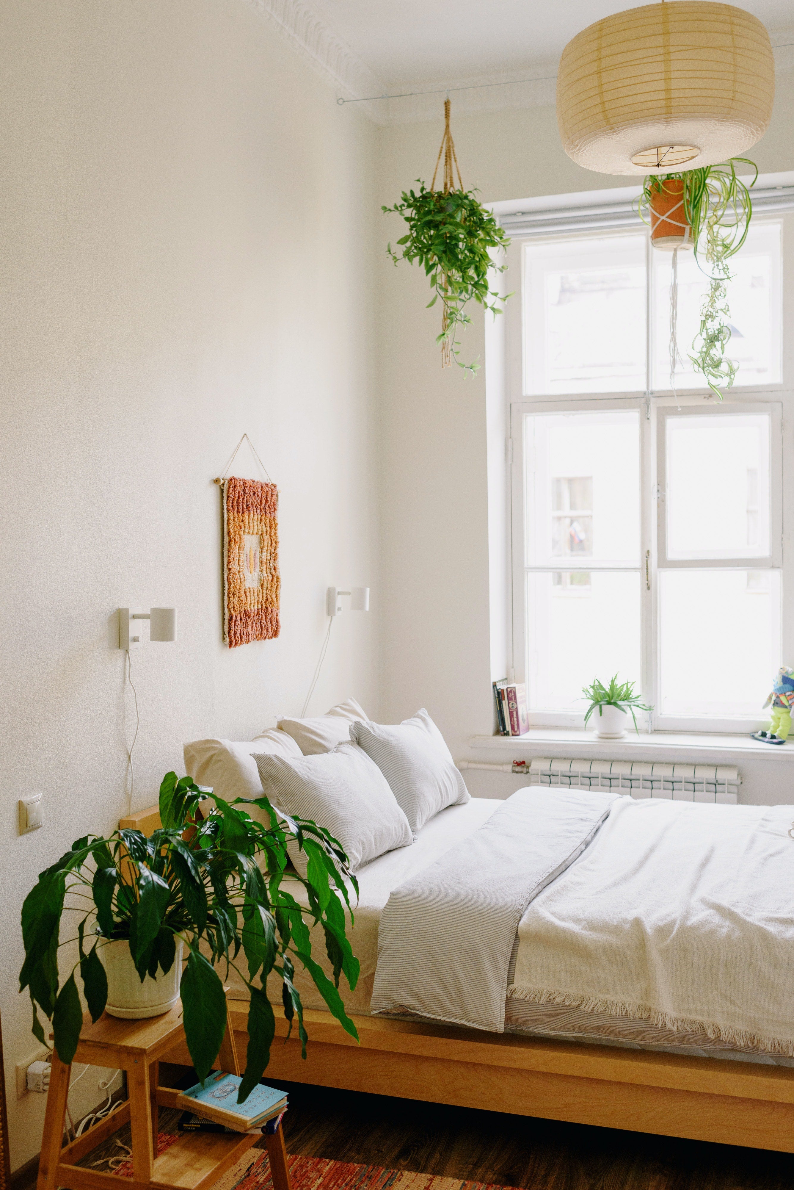 Décorer sa chambre avec des plantes - Le guide