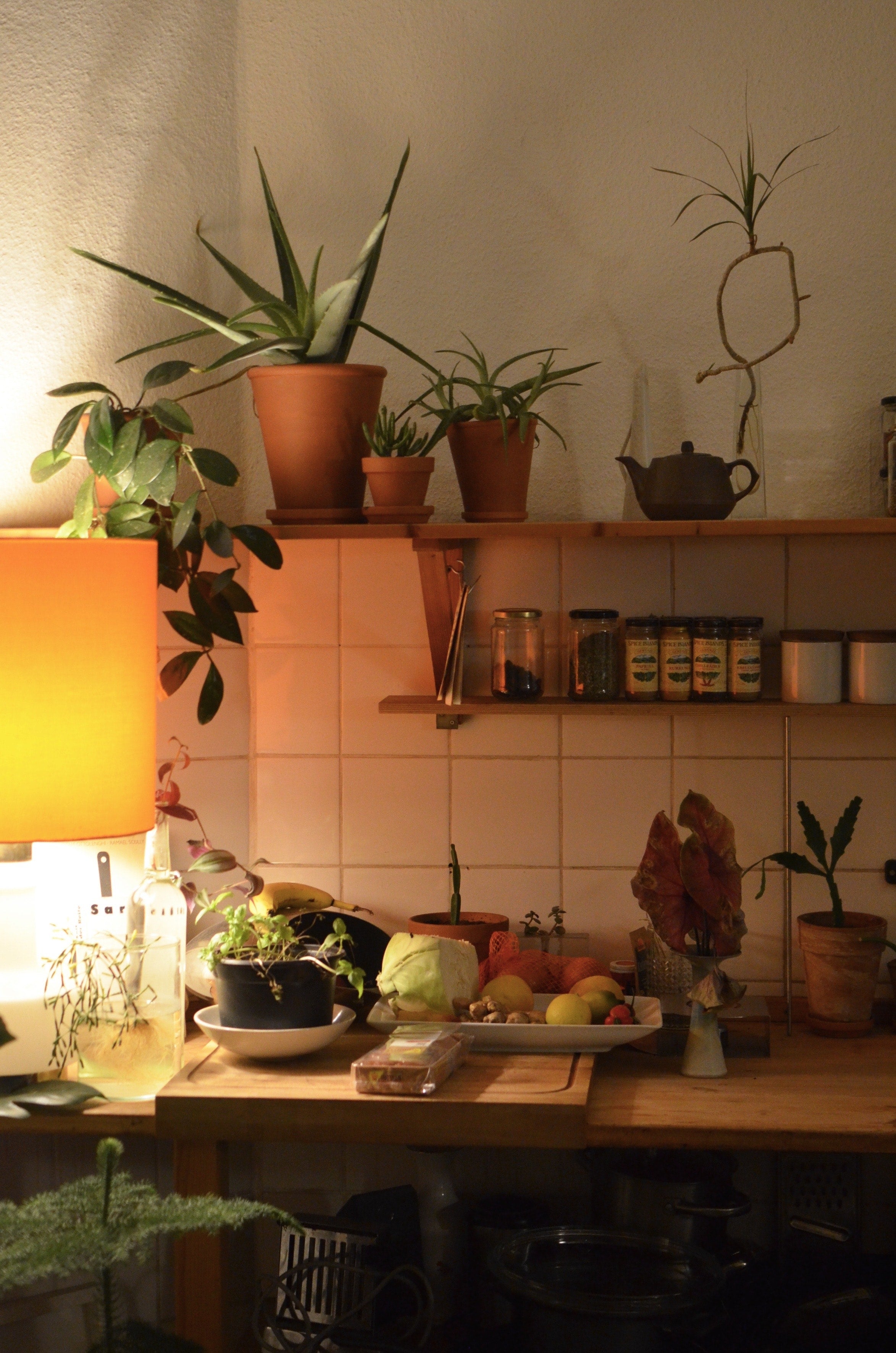 9 idées pour décorer votre cuisine avec des plantes